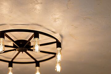 ハナミズキ14号地 その他