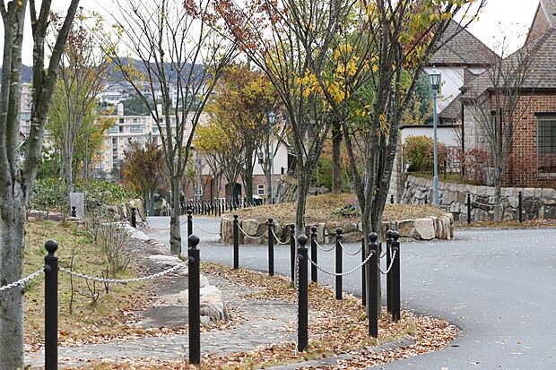 【歩道】季節によって街並みが変わる、夏には青々と、秋には紅葉で、冬には少し寂しいけど、気持ちいい。