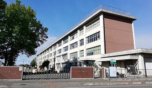 雀宮中央小学校(約1,200m)