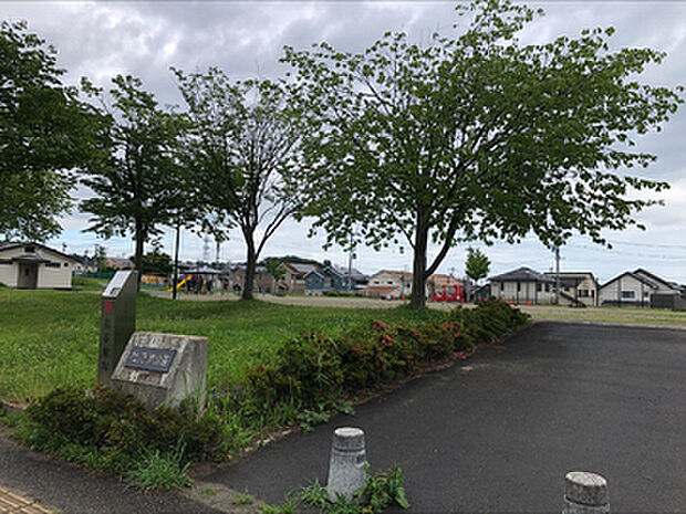 杜乃橋公園(約600m)