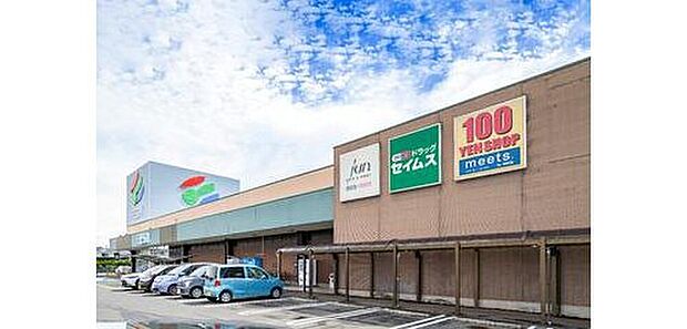 ドラッグセイムス(約700m)