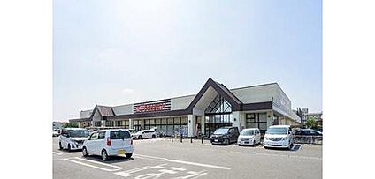 とりせん平和町店 550ｍ(徒歩7分)