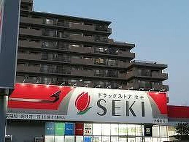 ドラッグストアセキ大成町店（約350m）