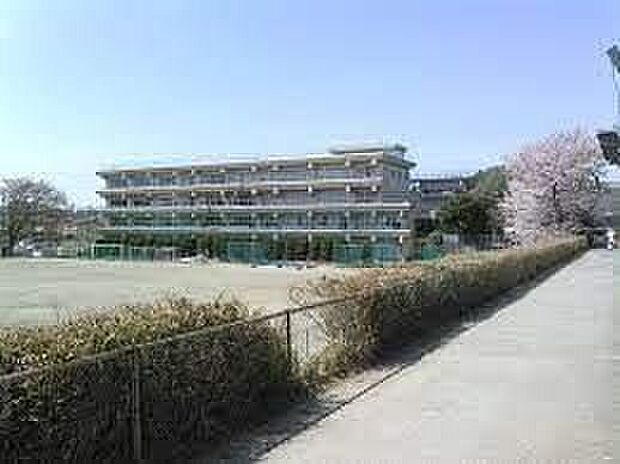 本太中学校（約300m）
