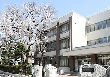 板橋区立志村坂下小学校 229m