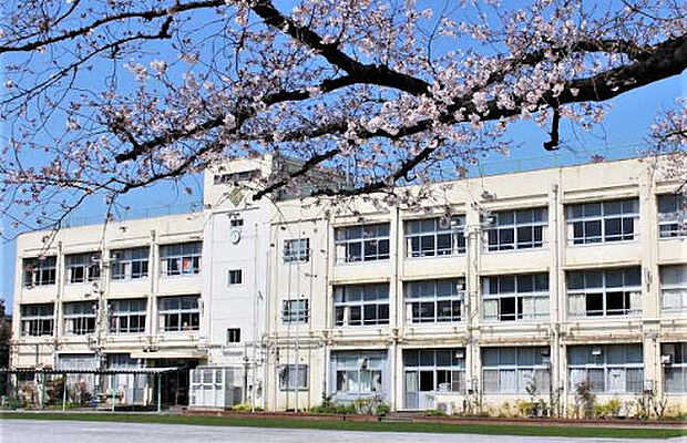 練馬区立田柄小学校(約603m)