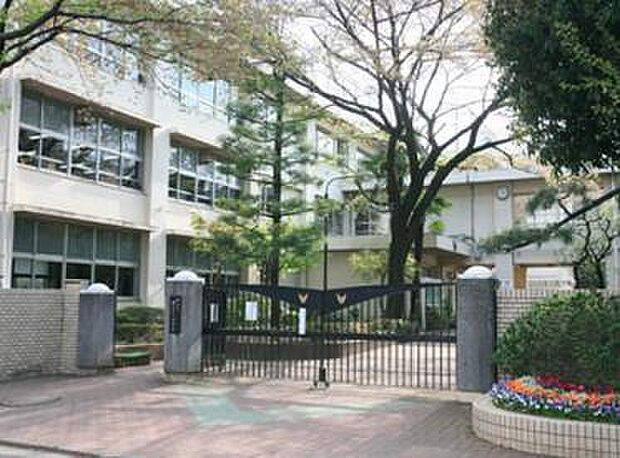 練馬区立開進第一中学校(約619m)