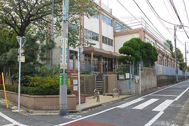 豊島区立富士見台小学校(約321m)