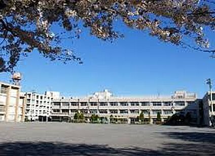 千歳中学校 1131m
