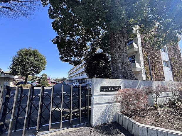 川越市立川越小学校(約1,600m)