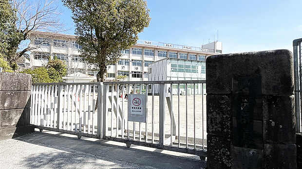 西谷山小学校(約1m)