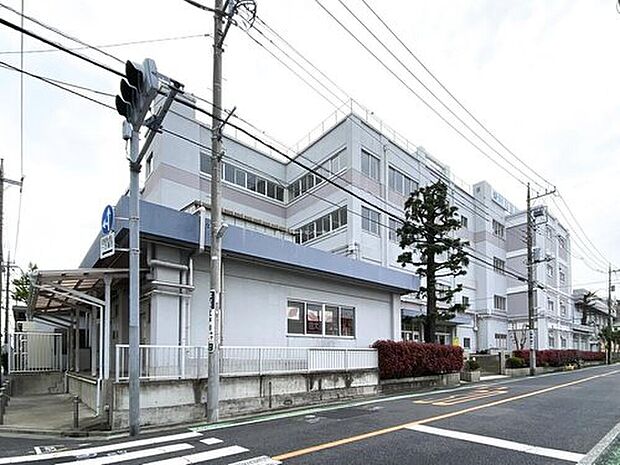 江戸川区立松江第三中学校（約290m）