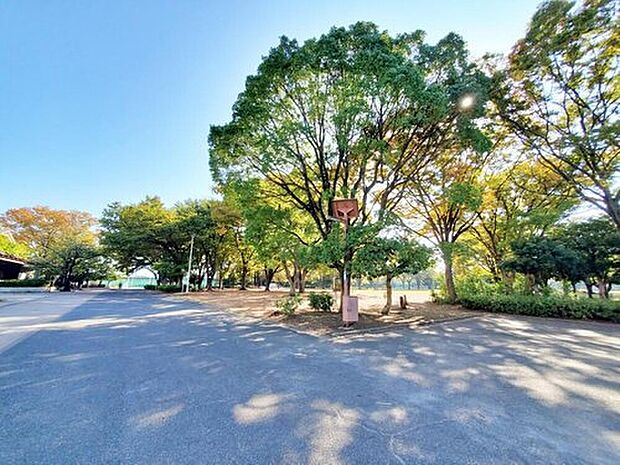 新小岩公園（約2,300m）