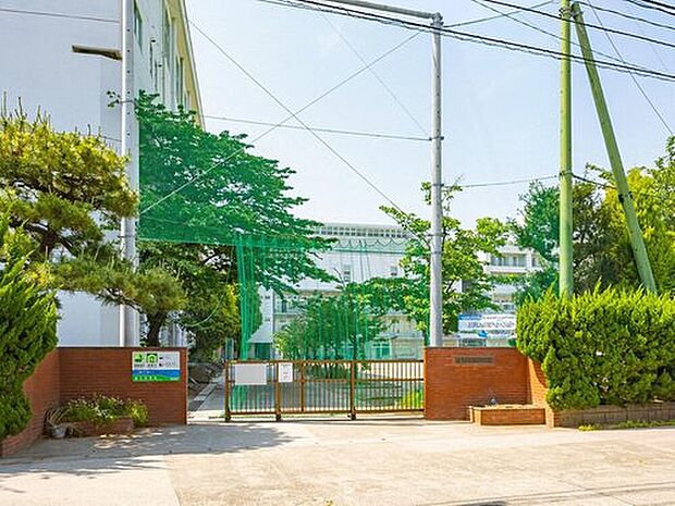 市川市立第七中学校(約1,100m)