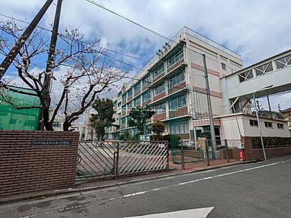 江戸川区立松江第二中学校 1300m(徒歩17分)