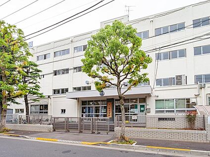 江戸川区立上一色中学校 900ｍ(徒歩12分)