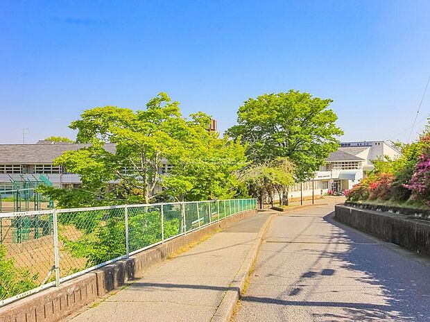 成田市立成田中学校（約900m）