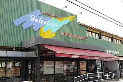 セレクション三郷店 956ｍ(徒歩12分)