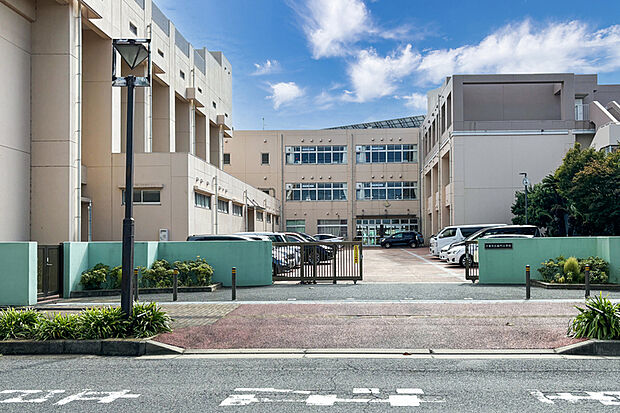 緑町小学校(現地より徒歩13分)