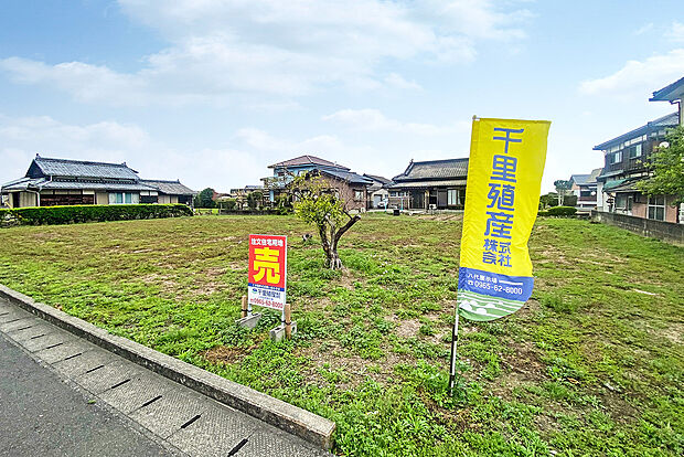 現地写真です