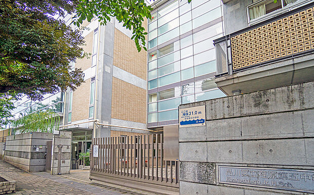 品川区立荏原第五中学校(約1,100m)