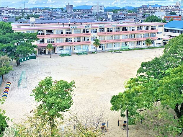 紫原小学校(約1,170m)
