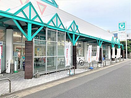 コープ谷山店 600ｍ(徒歩8分)