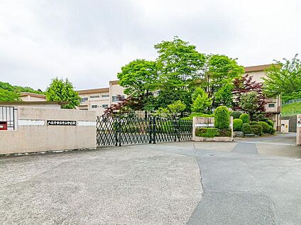 八王子市立中山中学校 250ｍ(徒歩4分)