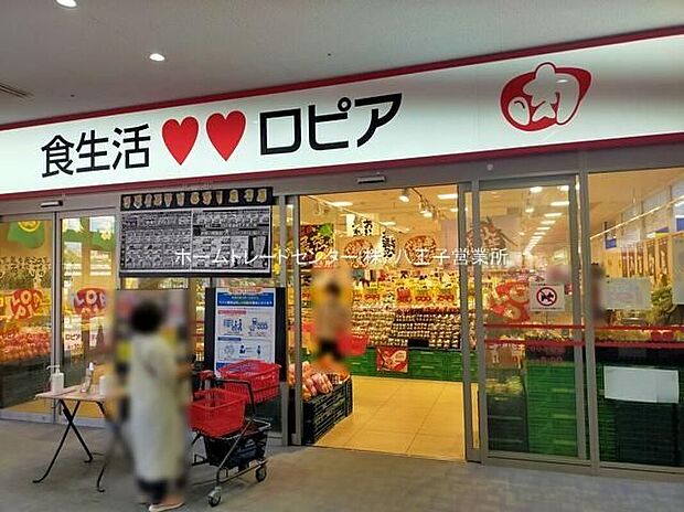 ロピア八王子みなみ野店（約504m）