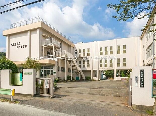 八王子市立浅川小学校（約700m）