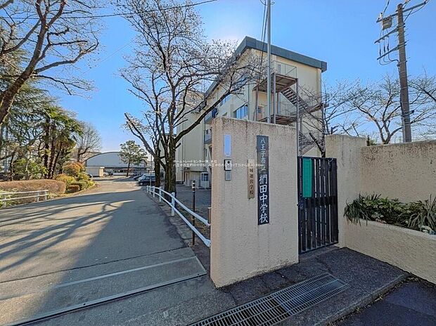 八王子市立椚田中学校（約1,100m）