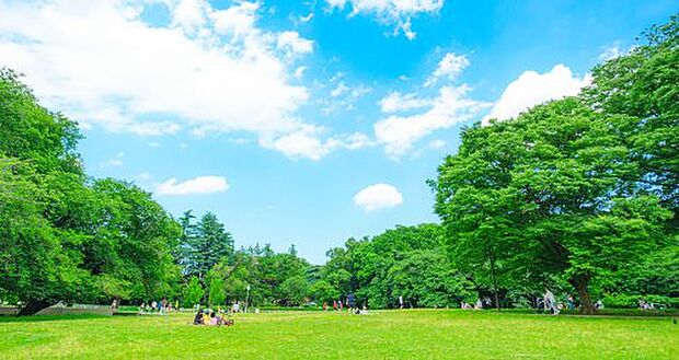 砧公園