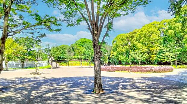 東京都立練馬城址公園