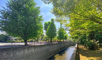 江古田の森公園 徒歩1600m