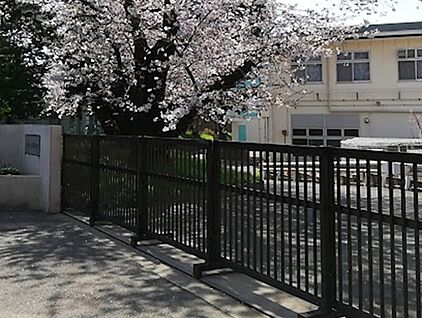 船橋市立船橋中学校 600ｍ