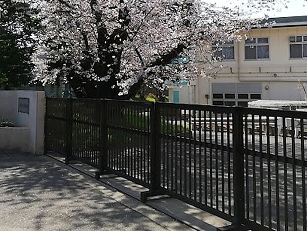 船橋市立船橋中学校(約600m)