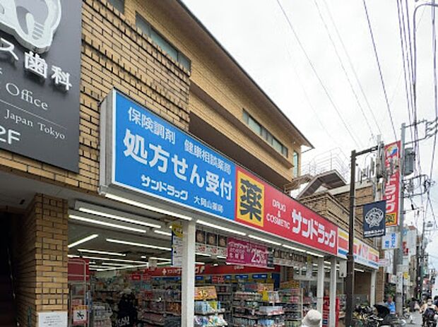 サンドラック大岡山店コンビニエスストアー（約850m）
