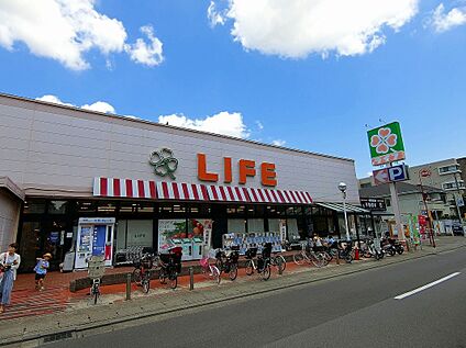 ライフ高津新作店 480ｍ