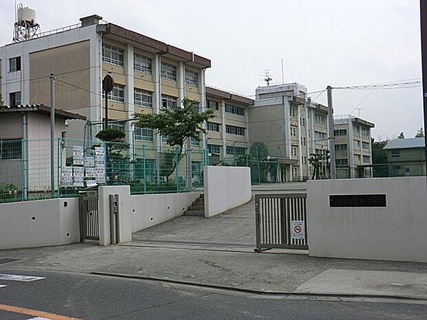 川崎市立犬蔵中学校(約240m)