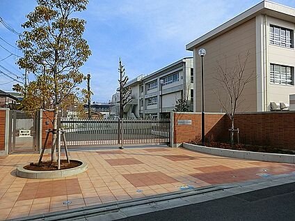 川崎市立さくら小学校 480ｍ