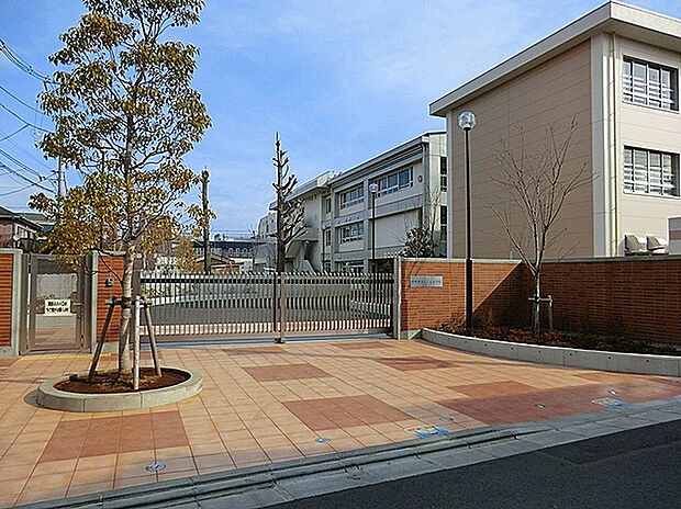 川崎市立さくら小学校(約480m)
