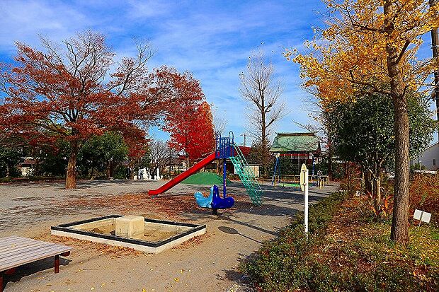 千代ヶ丘第2公園(約1,300m)
