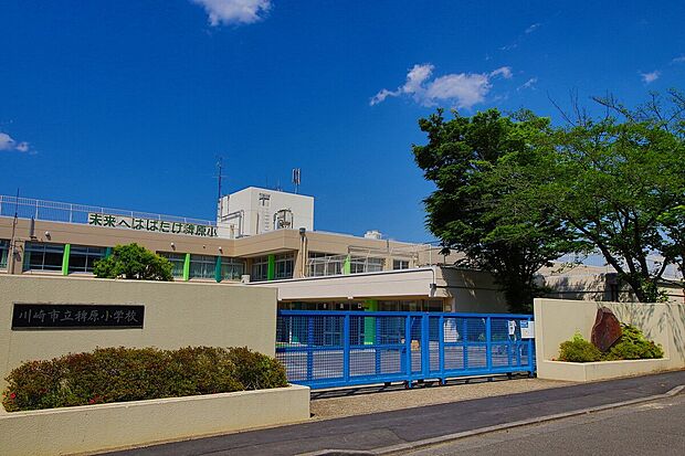 川崎市立稗原小学校(約350m)