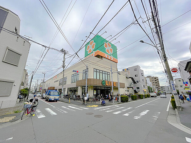 ライフ川崎御幸店(約610m)