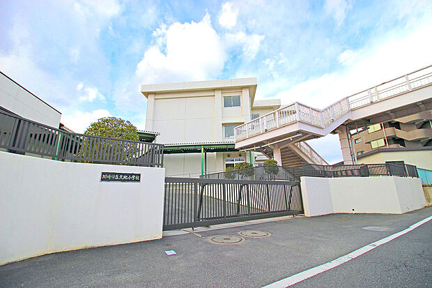 川崎市立久地小学校(約1,310m)