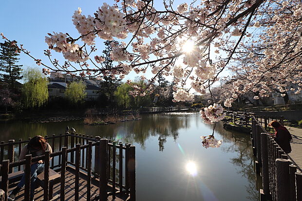 白幡池公園(約120m)