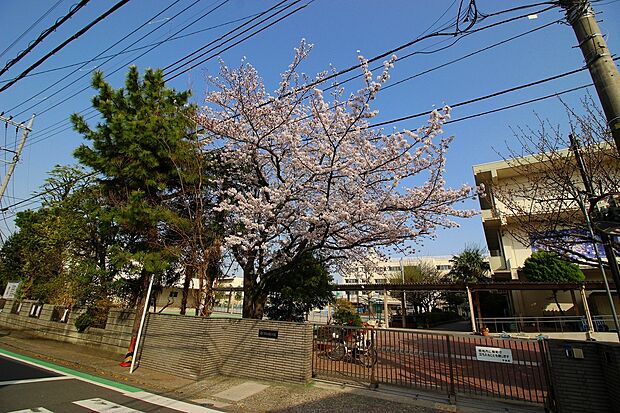 横浜市立白幡小学校(約530m)