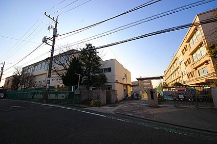 横浜市立つつじが丘小学校 200ｍ(徒歩3分)