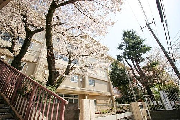 川崎市立玉川小学校（約290m）