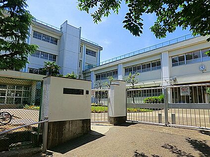 川崎市立千代ケ丘小学校 800ｍ(徒歩)